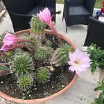 Apartamento Il Girasole Castel Ritaldi