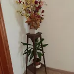 Il Girasole * Castel Ritaldi
