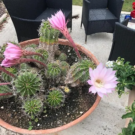 Apartamento Il Girasole Castel Ritaldi