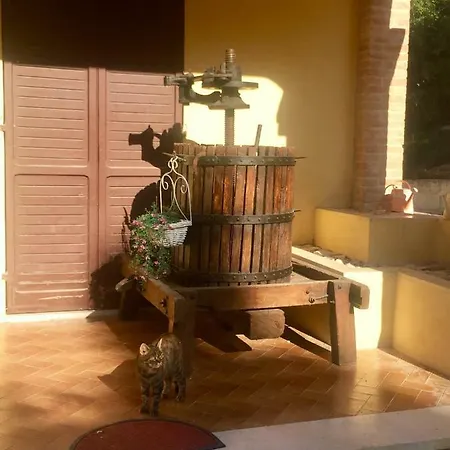 Il Girasole Castel Ritaldi