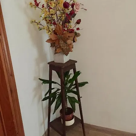 Il Girasole * Castel Ritaldi
