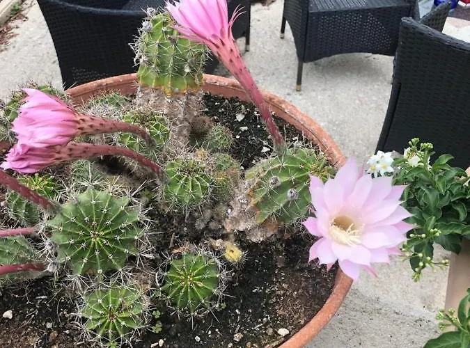 Appartement Il Girasole Castel Ritaldi