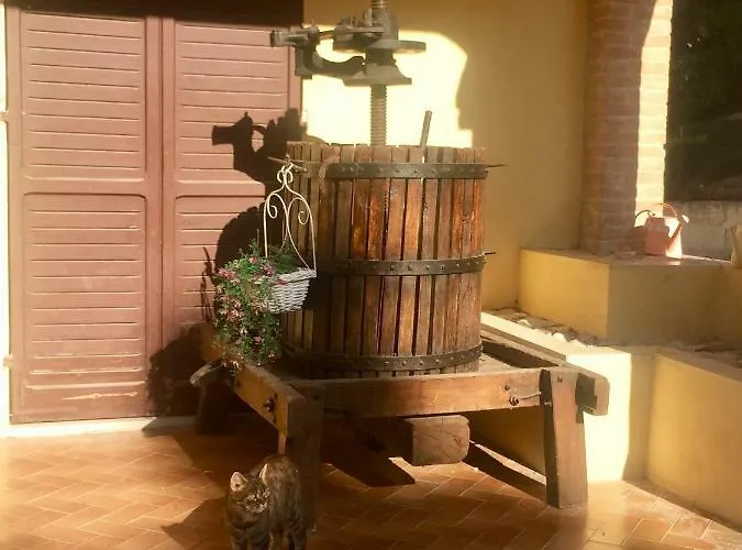 Il Girasole Castel Ritaldi