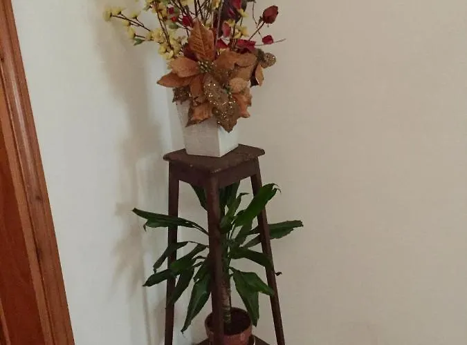 Il Girasole * Castel Ritaldi